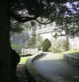 Tollymore Forest Park